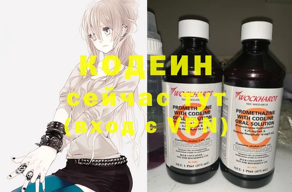 ПСИЛОЦИБИНОВЫЕ ГРИБЫ Гусиноозёрск