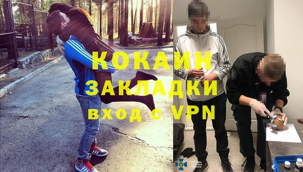 ПСИЛОЦИБИНОВЫЕ ГРИБЫ Гусиноозёрск