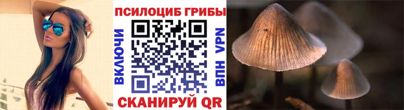 Купить закладки  Магадан  Псилоцибиновые грибы Psilocybine cubensis 
